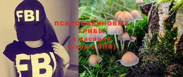jwh Новодвинск