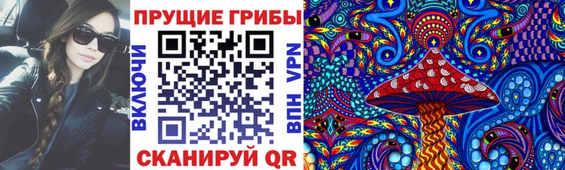 Галлюциногенные грибы Psilocybe  дарк нет как зайти  Кемь  магазин продажи наркотиков 